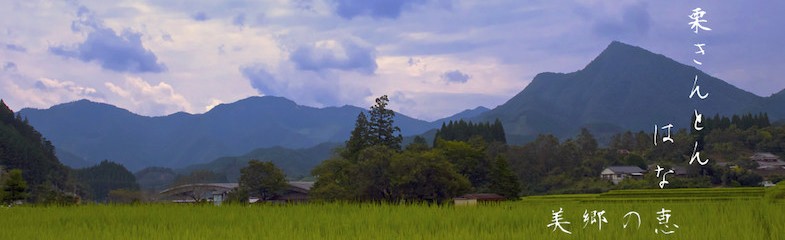 初秋 美郷の恵